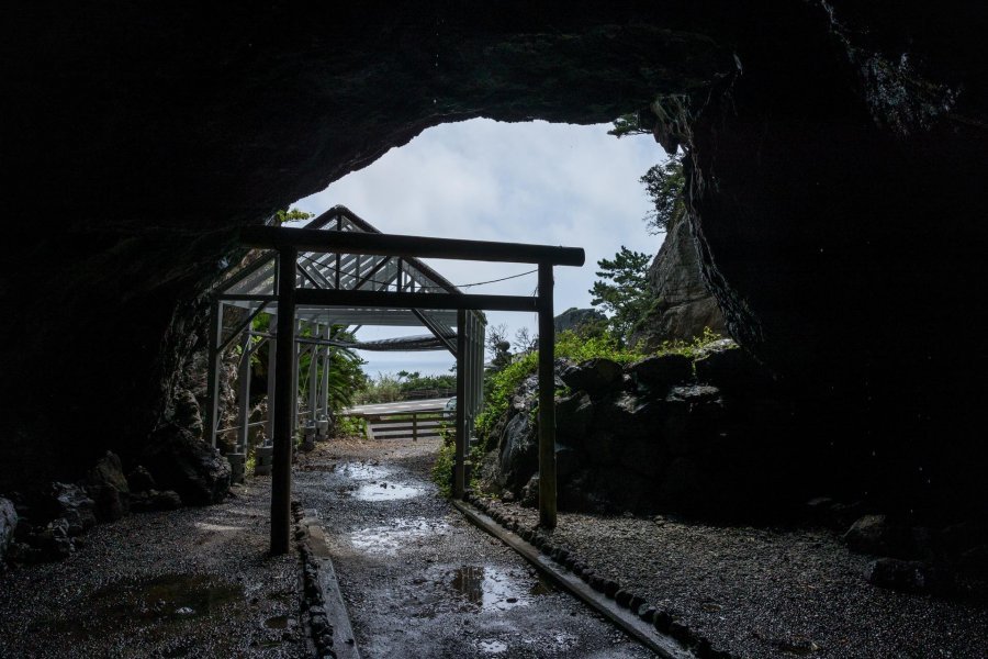 🌊 미쿠로도・신메이 동굴 (御厨人窟・神明窟) 이미지 6
